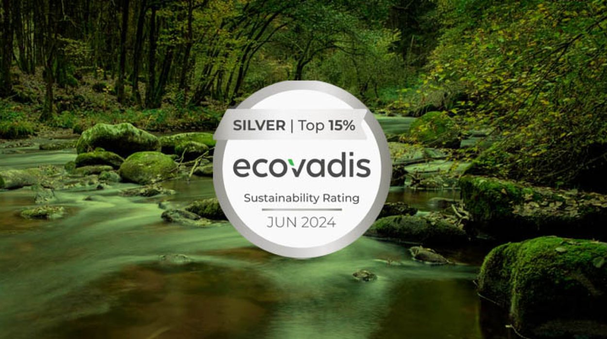 silver ecovadis